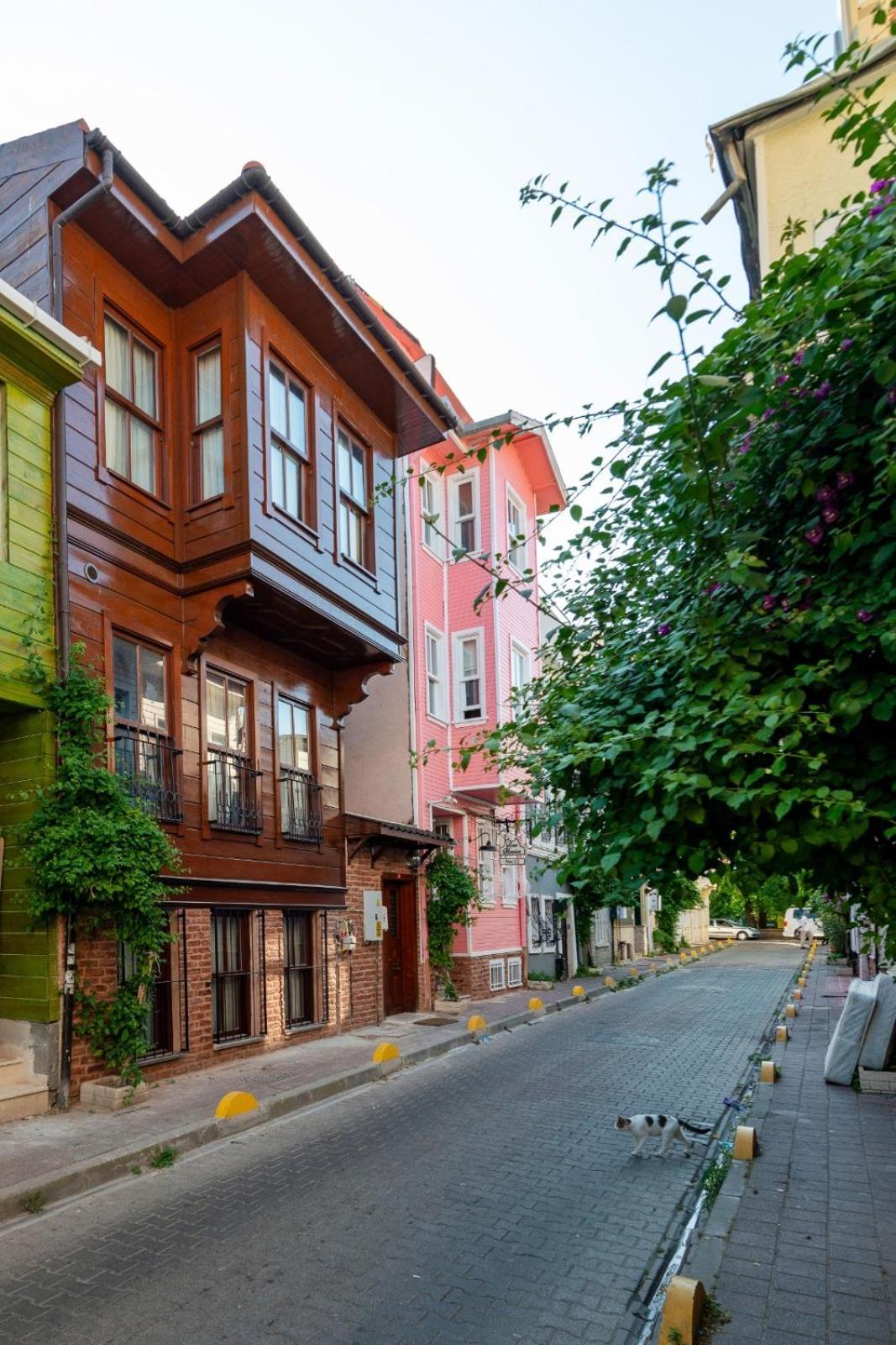 Brown Mansion Oldcity Istanbul Exterior photo